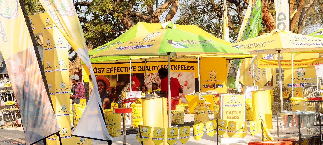 Capital Foods activation among yellow umbrellas at the Zimbabwe Agricultural Show